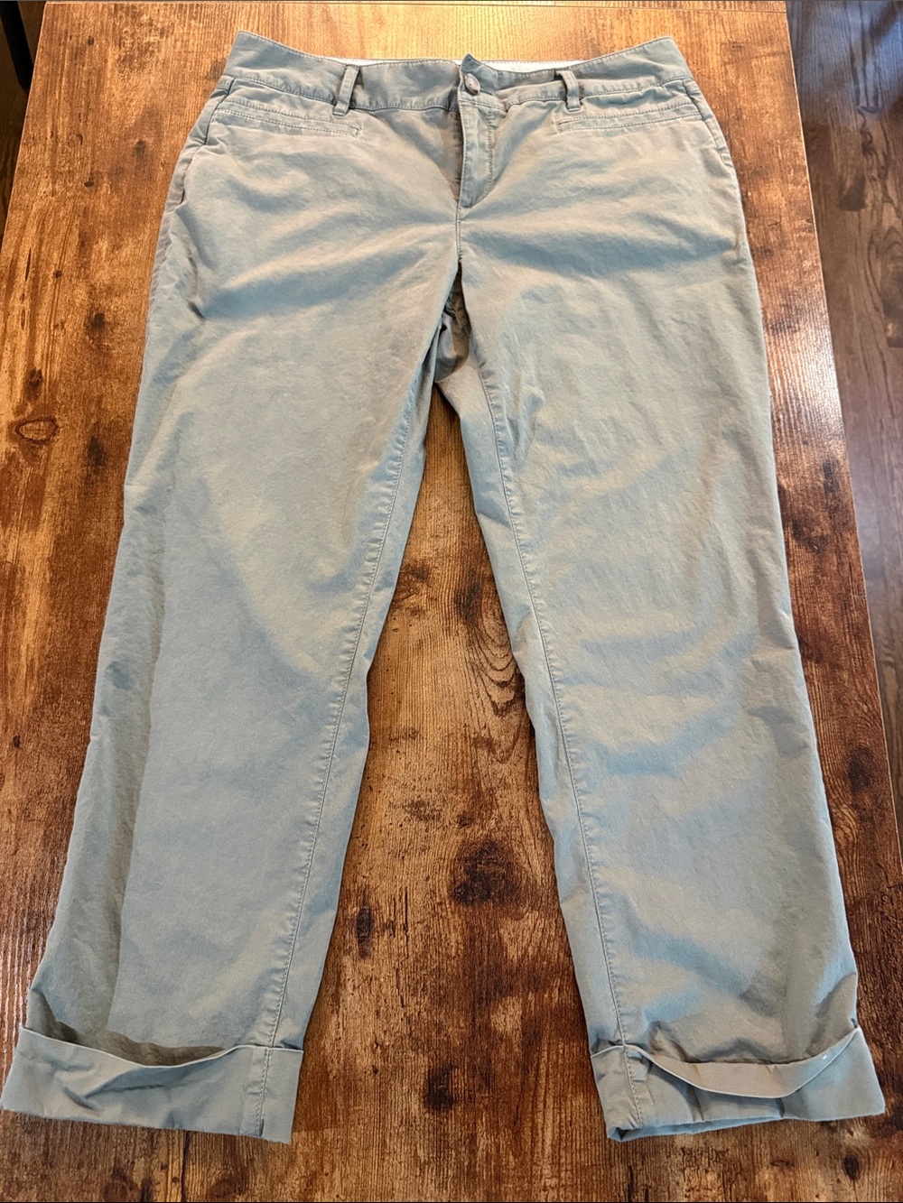 Banana Republic Casual Womens Pants in Sage Green